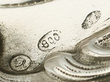 Silver Ewer hallmarks 