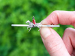 horse and rider brooch outside