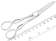 Grape Shears in Silver