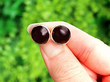 Star Diopside Cufflinks for Sale