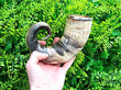 Horn Hunting Beaker outside