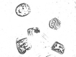 Silver Sugar Bowl Hallmarks 