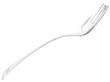 Silver Fork