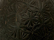 Antique Coconut Drinking Cup