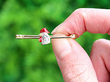 cockerel bar brooch outside