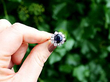 sapphire cluster ring