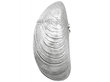 Silver Vesta Case
