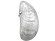 Silver Vesta Case 1800s 
