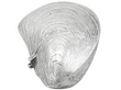 French Silver Vesta Case