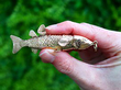 Vintage Gold Fish Charm Outside