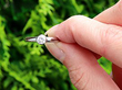 Bezel Set Diamond Solitaire Outside