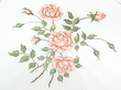 Silver Dressing Table Tray