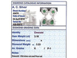 Victorian Emerald Earrings Grading card
