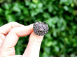 Victorian Animal Brooch Outside