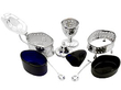 Silver Condiment Set with Blue Liners