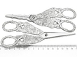 Antique Sterling Silver Grape Shears