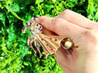 diamond and gemstone matador brooch outside