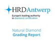 Certified Diamond Engagement Ring Princess Cut Wearing