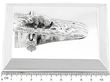 Paperweight in Silver 