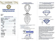 White Gold and Diamond Ring certificate