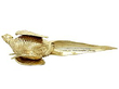 Antique Silver Pheasant Pepper 