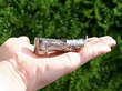Silver Vesta Case Antique 