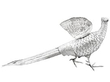 Silver Ornaments