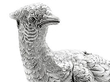 Silver Pheasants Ornament Close Up Face