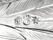 Silver Pheasants Ornament Hallmarks