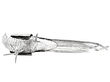 Silver Pheasants Ornament Reverse
