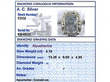 Antique Gold Aquamarine Ring grading card
