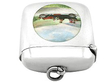 Sterling Silver Vesta Case