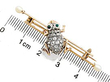 Antique Victorian Frog Brooch Ruler