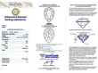 Antique Pear Drop Diamond Pendant Certificate