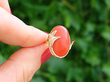 Coral Ring in Gold