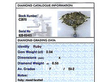 antique diamond griffin brooch grading