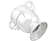 Edwardian Silver Presentation Cup