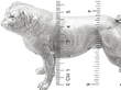 Sterling Silver Pug