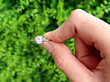French Diamond Ring