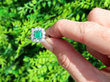 Vintage Emerald and Diamond White Gold Cluster Ring