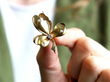 diamond gold leaf brooch
