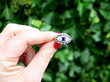 Platinum Sapphire and Diamond Ring outside 