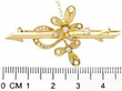 Edwardian Yellow Gold Brooch
