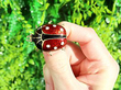 Enamel Vintage Ladybird Brooches