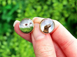 Antique Dog Cufflinks in Gold