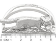 Silver Fox Menu Holders