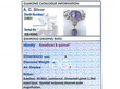 Amethyst Pendant UK