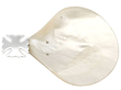Vintage Mother of Pearl Dish