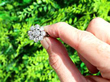 Diamond Cluster Ring Outside