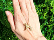 Yellow Gold Dog Charm/Pendant Outside